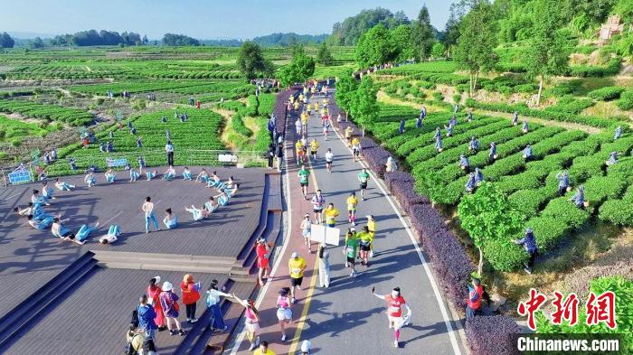 四川名山：三千跑者在千亩茶园间尽享全国“村