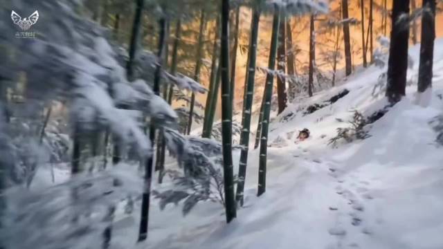 曼城门线手球判罚引争议，B席红牌是否合理？