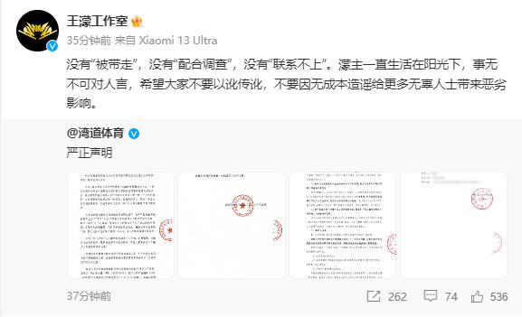 王濛股权遭冻结445万，工作室回应谣言