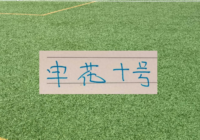 申花客场绝杀天津队 两次落后两次扳平终逆转